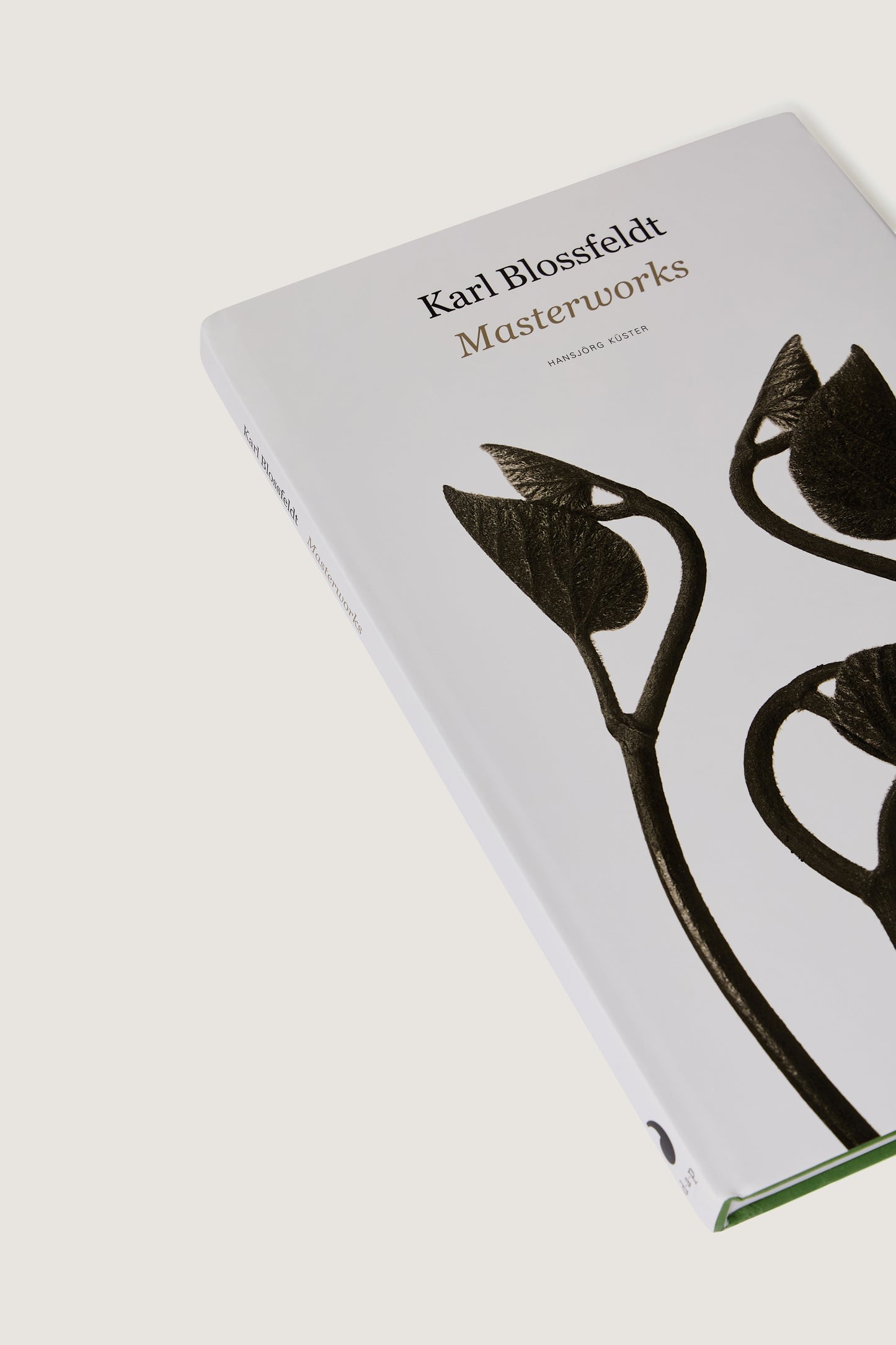 LIVRE "KARL BLOSSFELDT : MASTERWORKS"